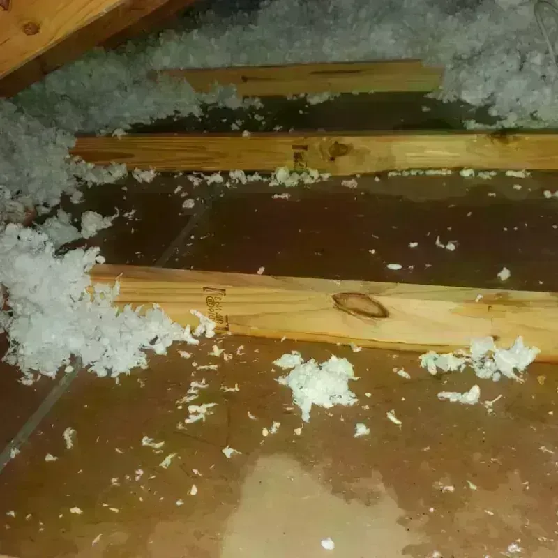 Attic Water Damage in Goshen, OH